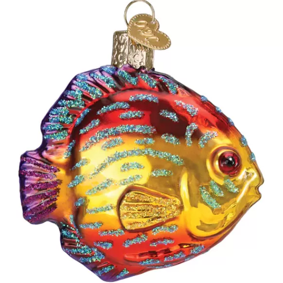 Cheap Discus Fish Ornament - Fish & Reptile