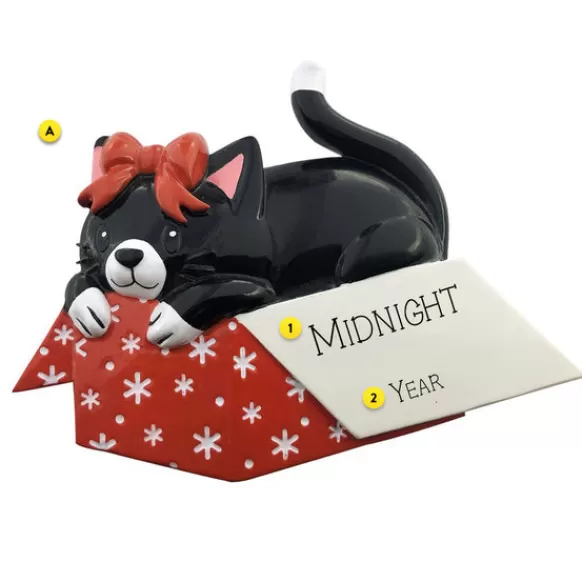 Fashion PolarX Personalized Cat In A Gift Box Ornament