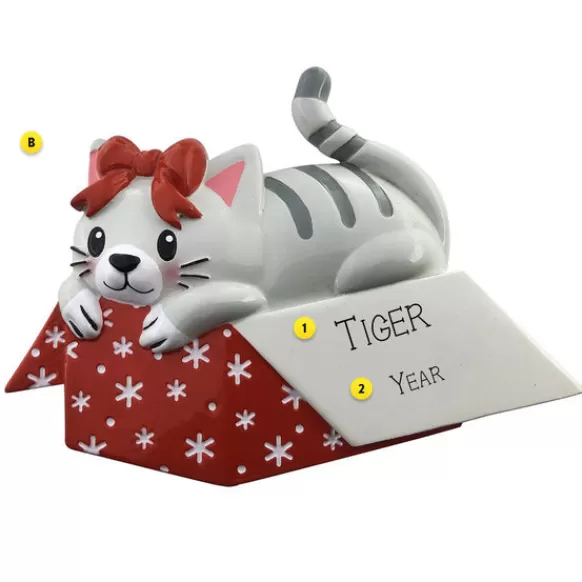 Fashion PolarX Personalized Cat In A Gift Box Ornament