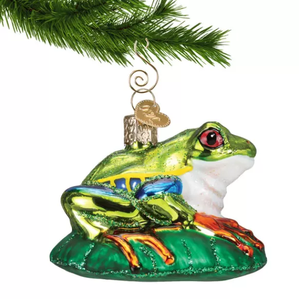 Outlet Red-Eyed Tree Frog Ornament - Fish & Reptile