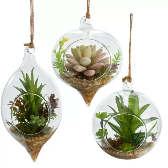 Discount Terrarium With Artificial Succulent Glass Ornament Garden, Birds & Insects